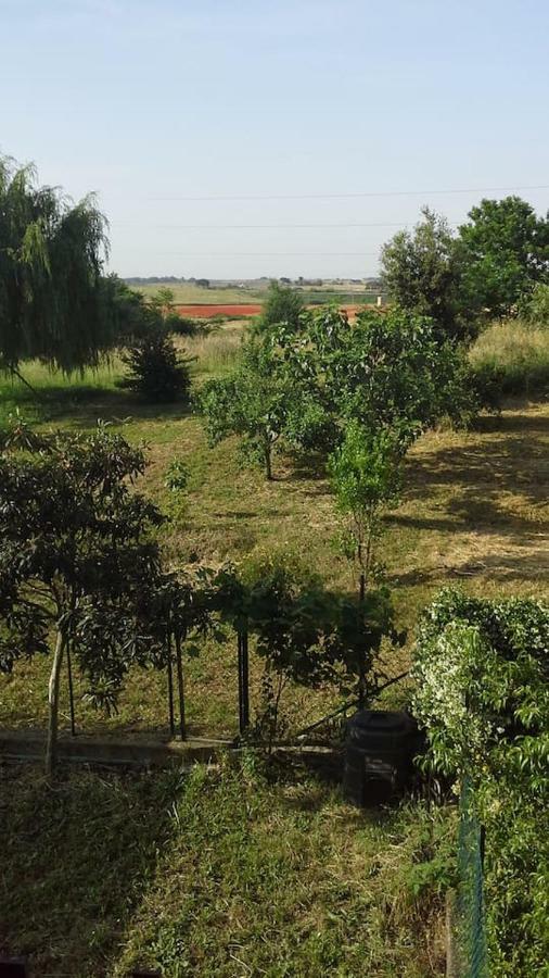 Spazio e tranquillità a Roma Esterno foto